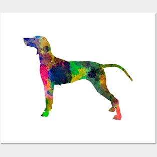 Weimaraner in watercolor Posters and Art